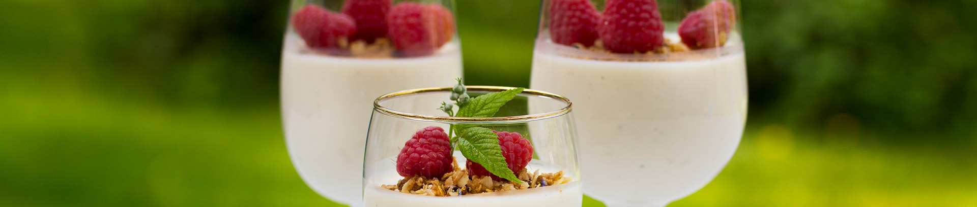 Hyytelöt ja vanukkaat