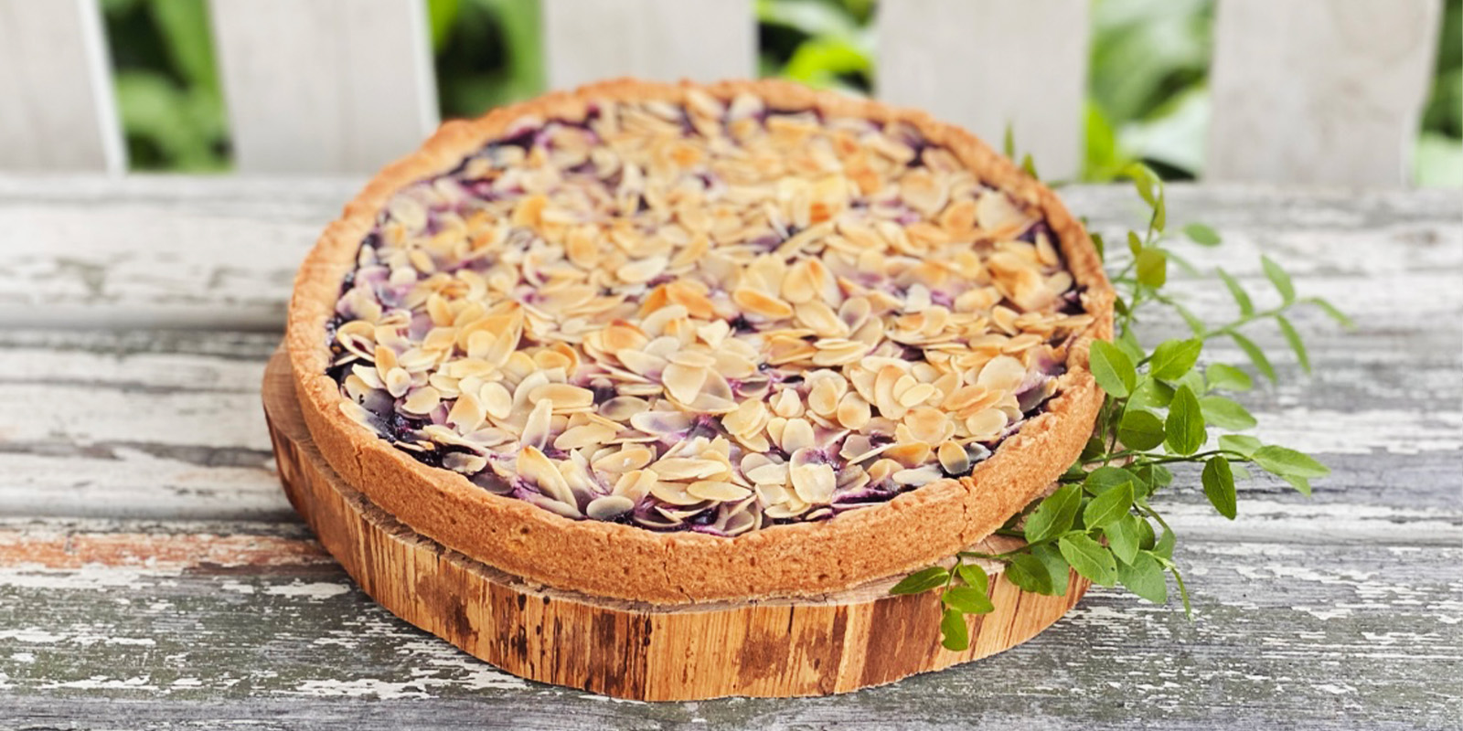 Mantelinen sitruuna-mustikkapiirakka