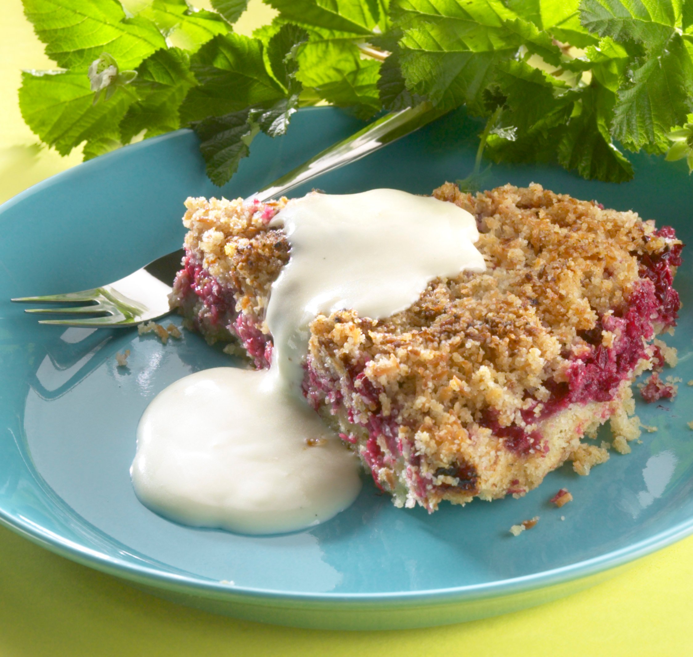 Kaurainen Kookos-karpalopiirakka