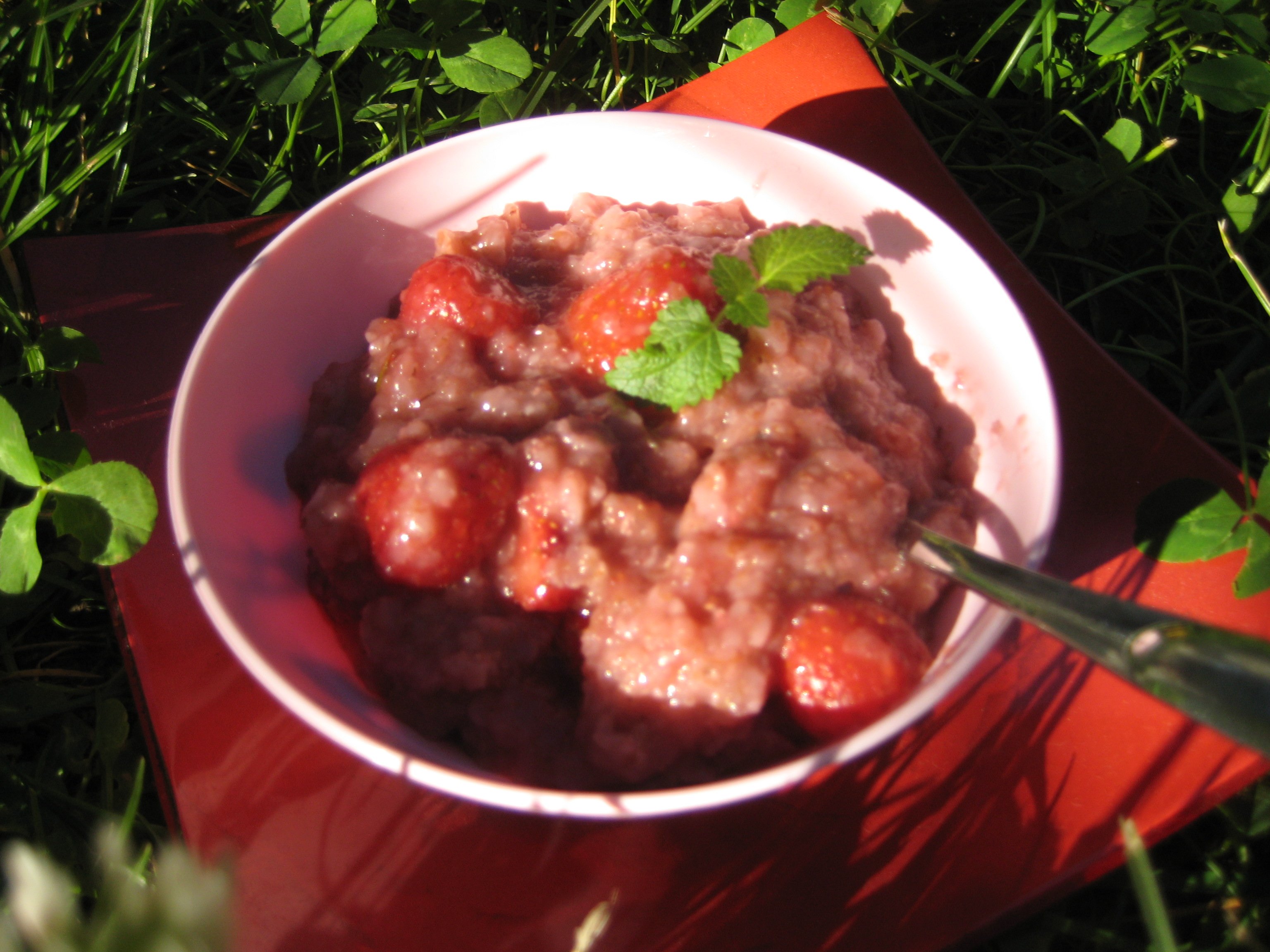 Vekkuli Mansikkapuuro