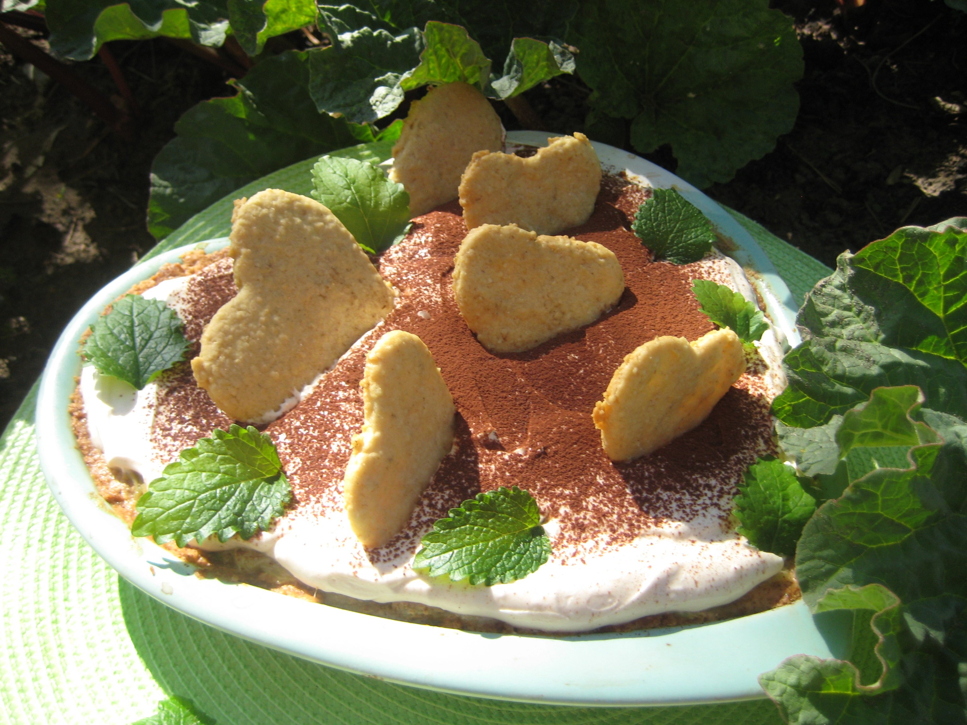 Tiramisu raparperista