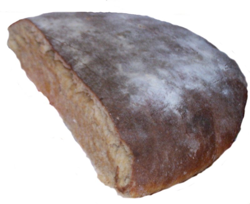 Valkosipulinen maalaisunelma