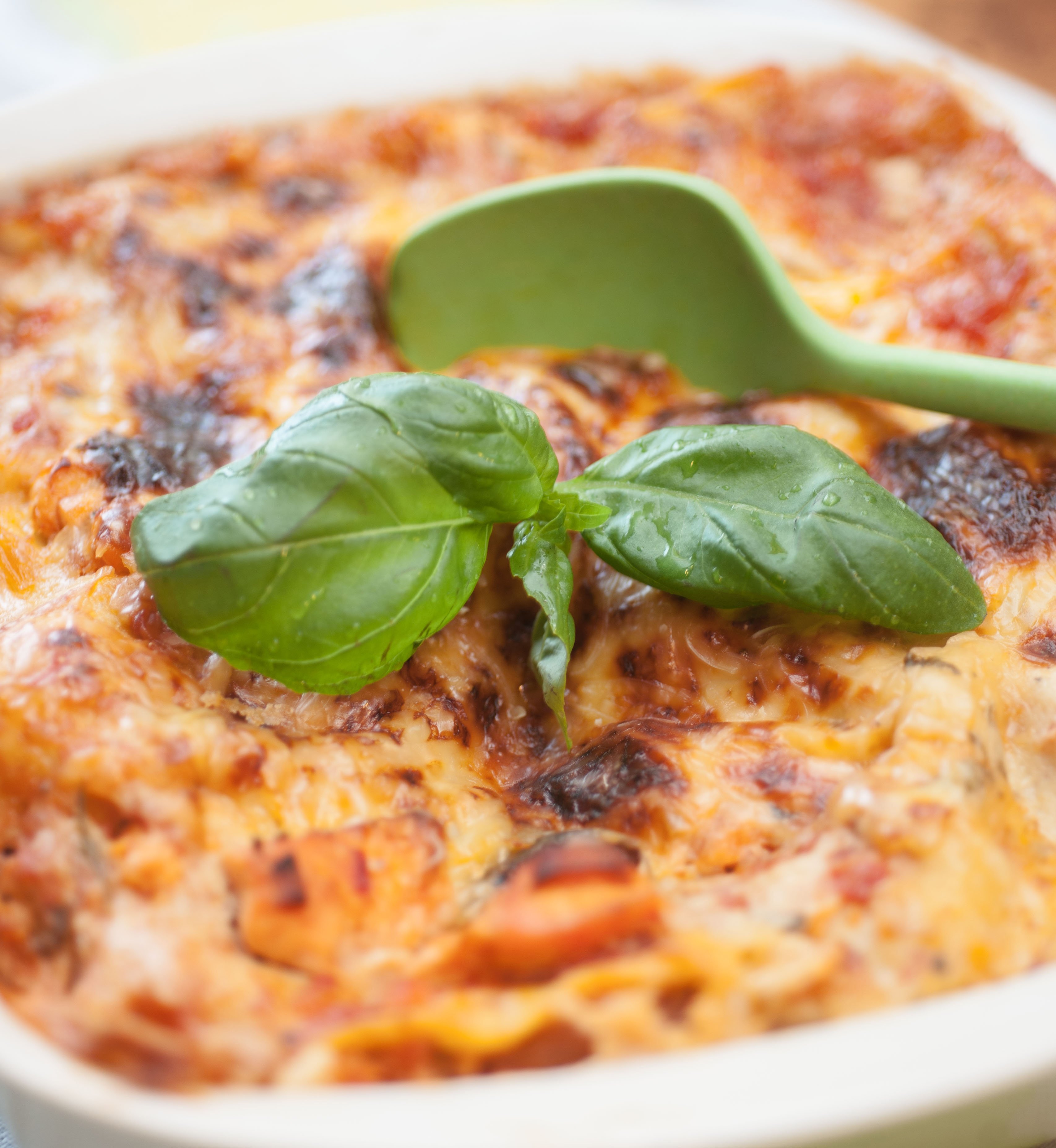 Tuorepasta Lohilasagne