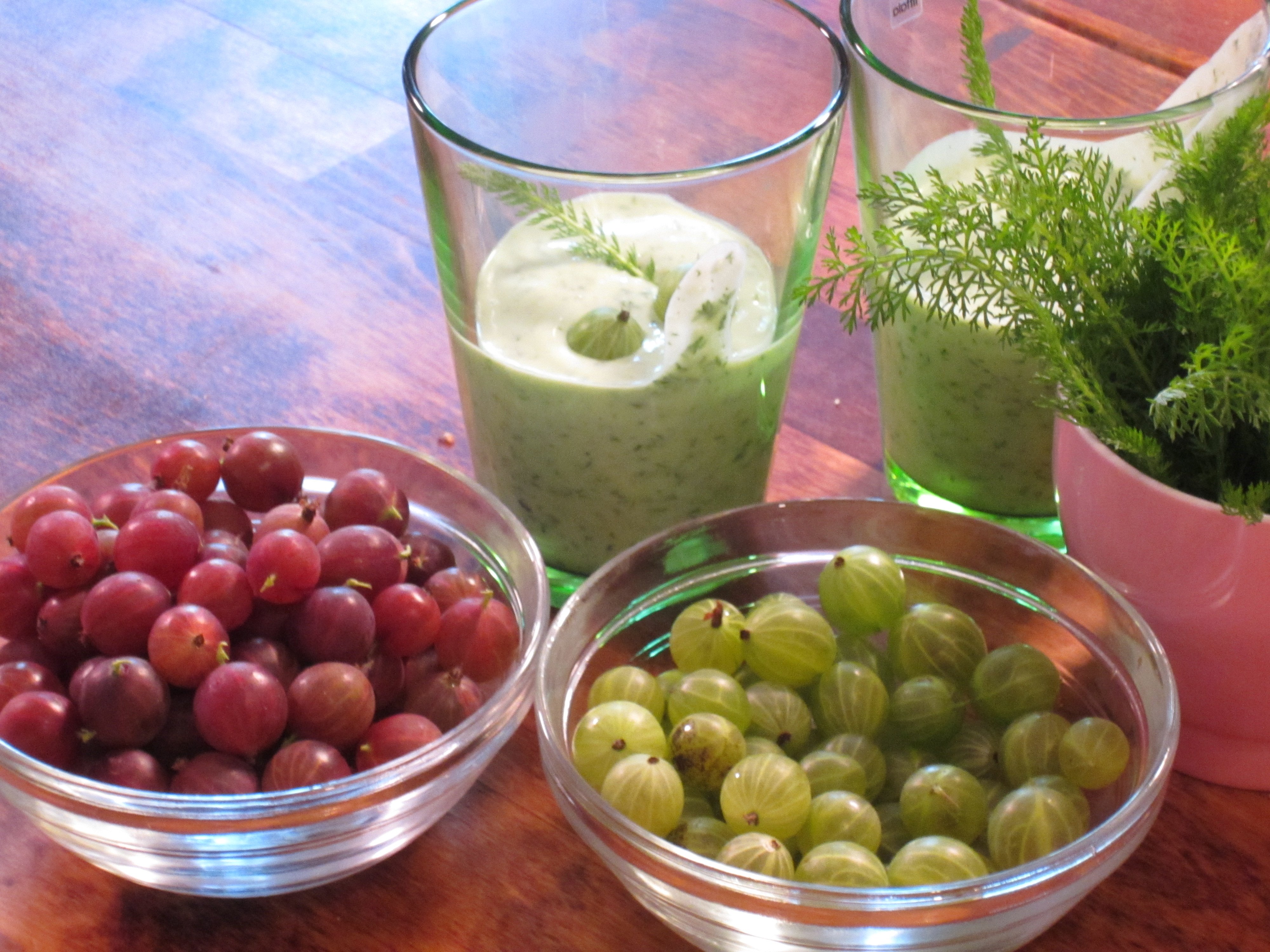 Karviais-siankärsämö Smoothie