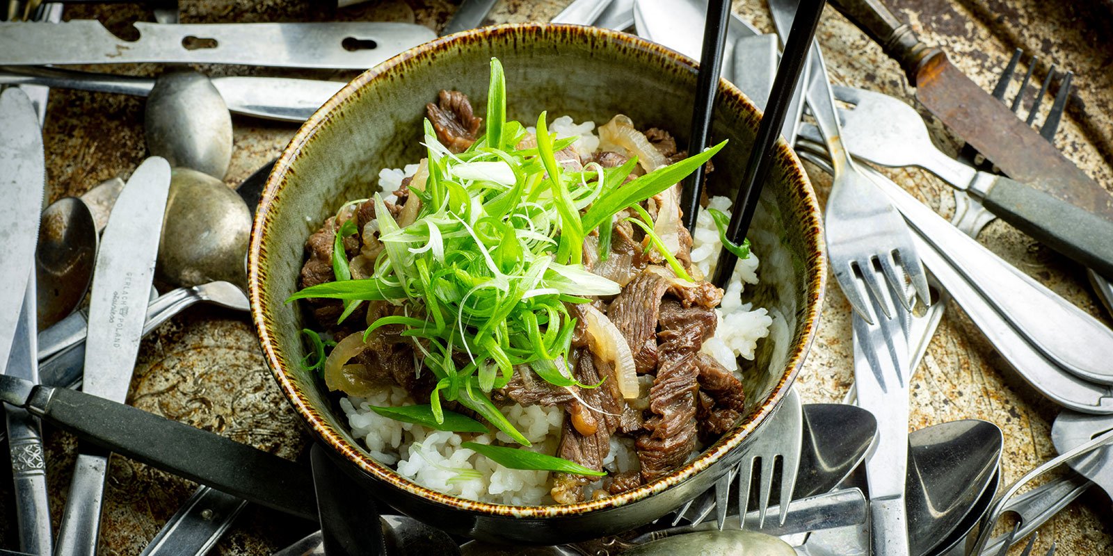 Gyudon