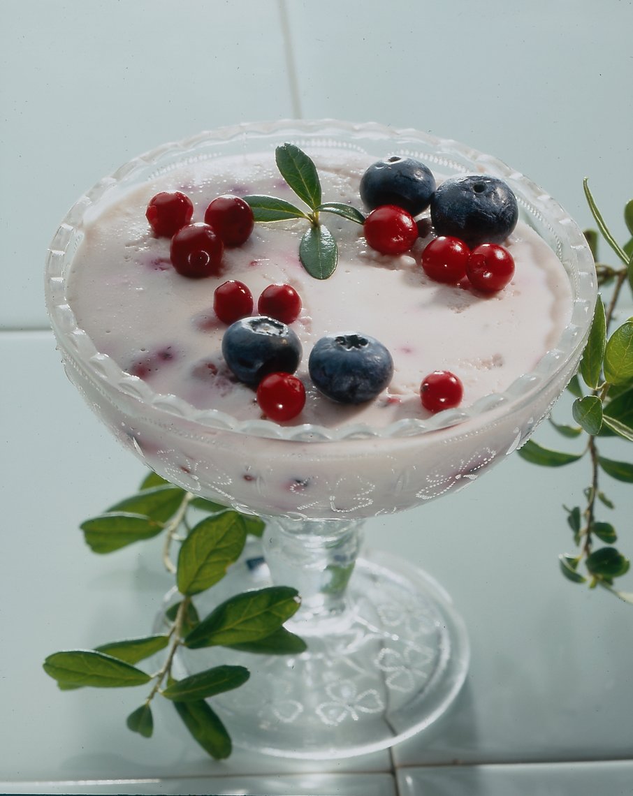 Jogurtti-ruishyytelö