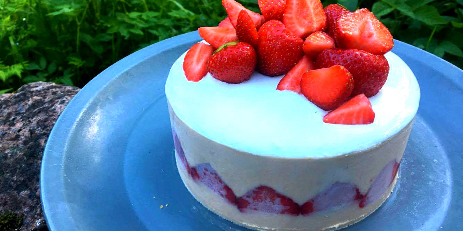 Raparperi-mansikka-fraisier