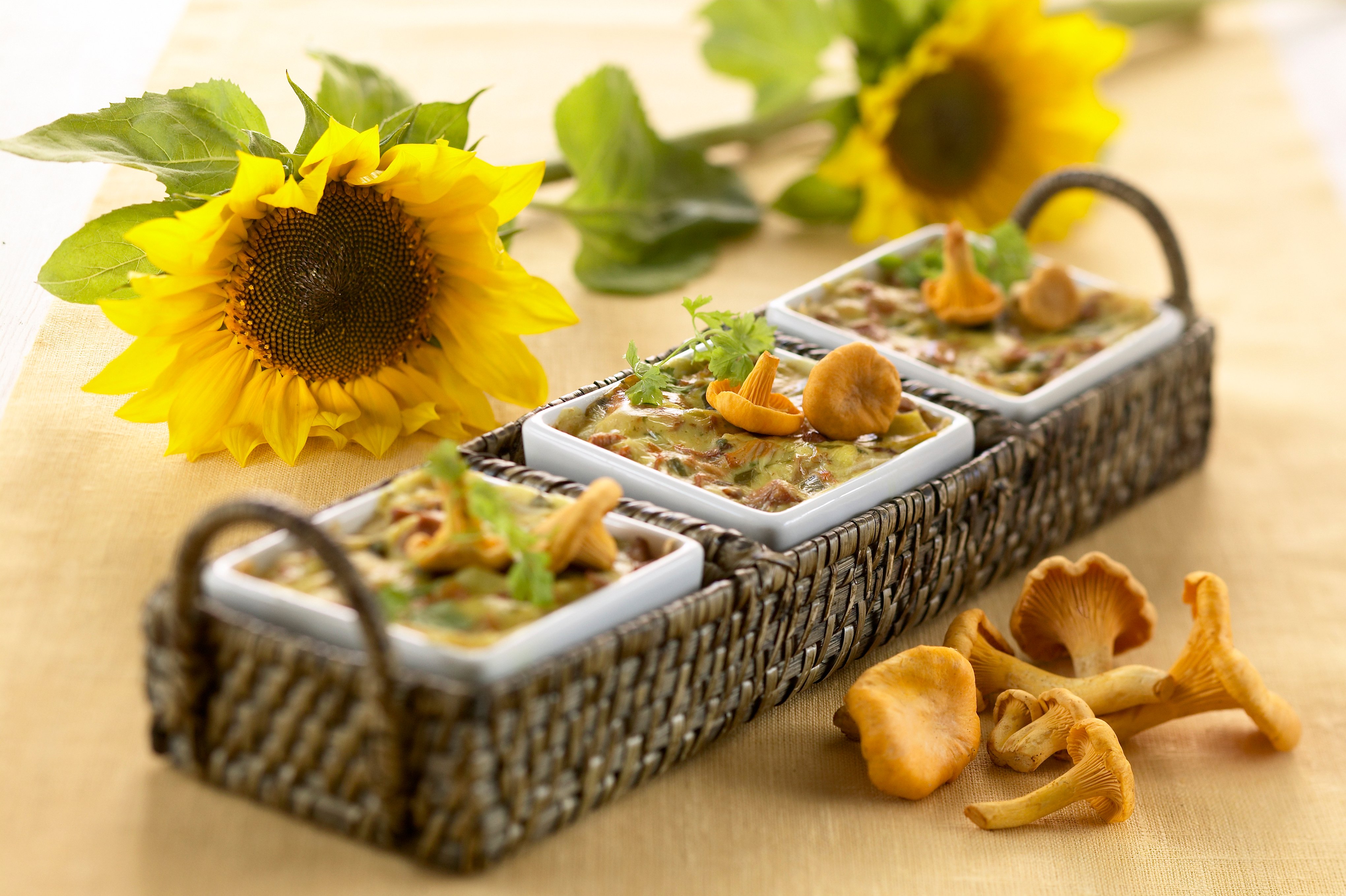 Sienilasagne tuorepastasta