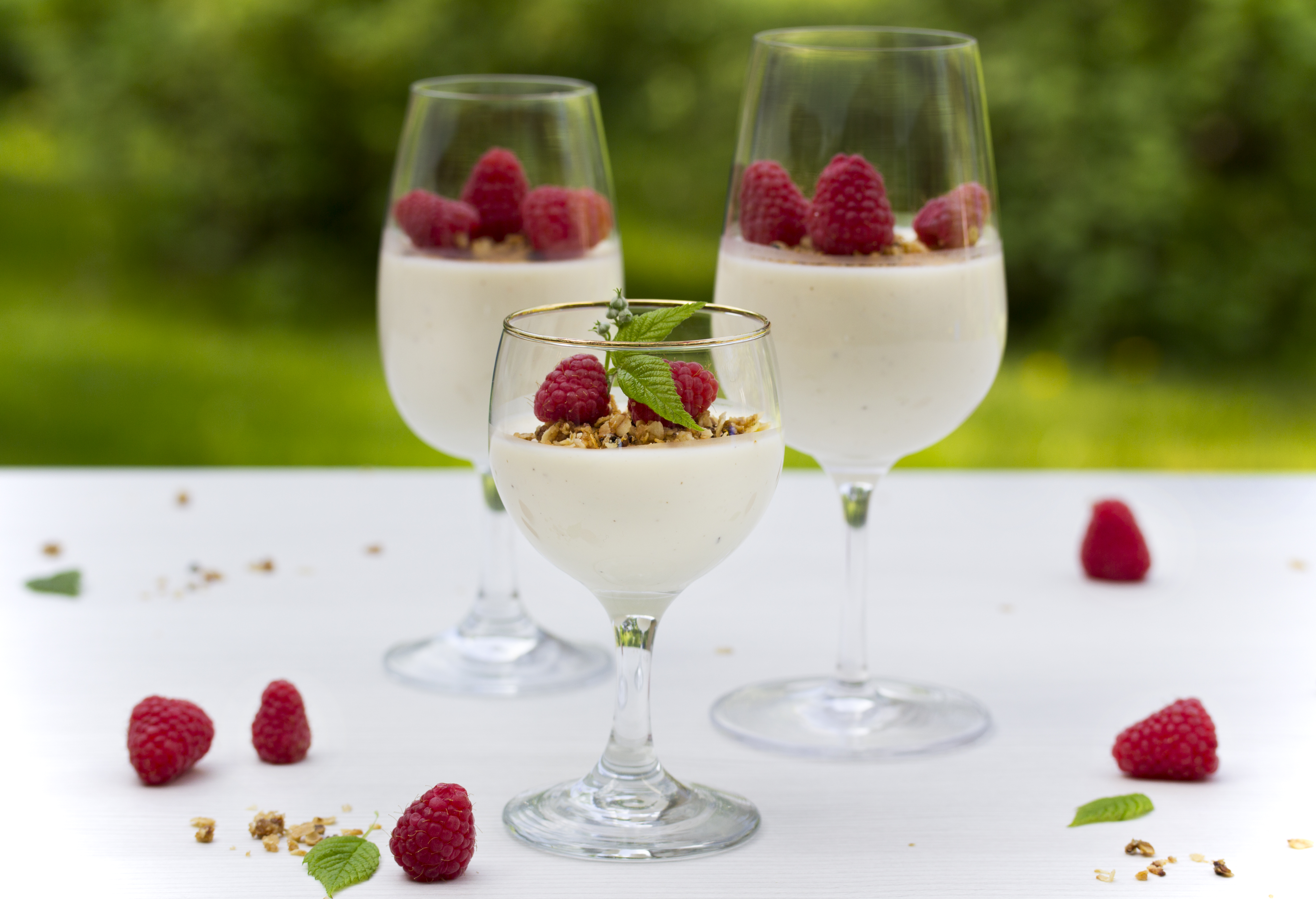 Vaniljainen Pannacotta mansikoilla ja kauramurulla