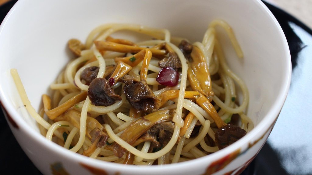 Vappu Pimiän sienipasta