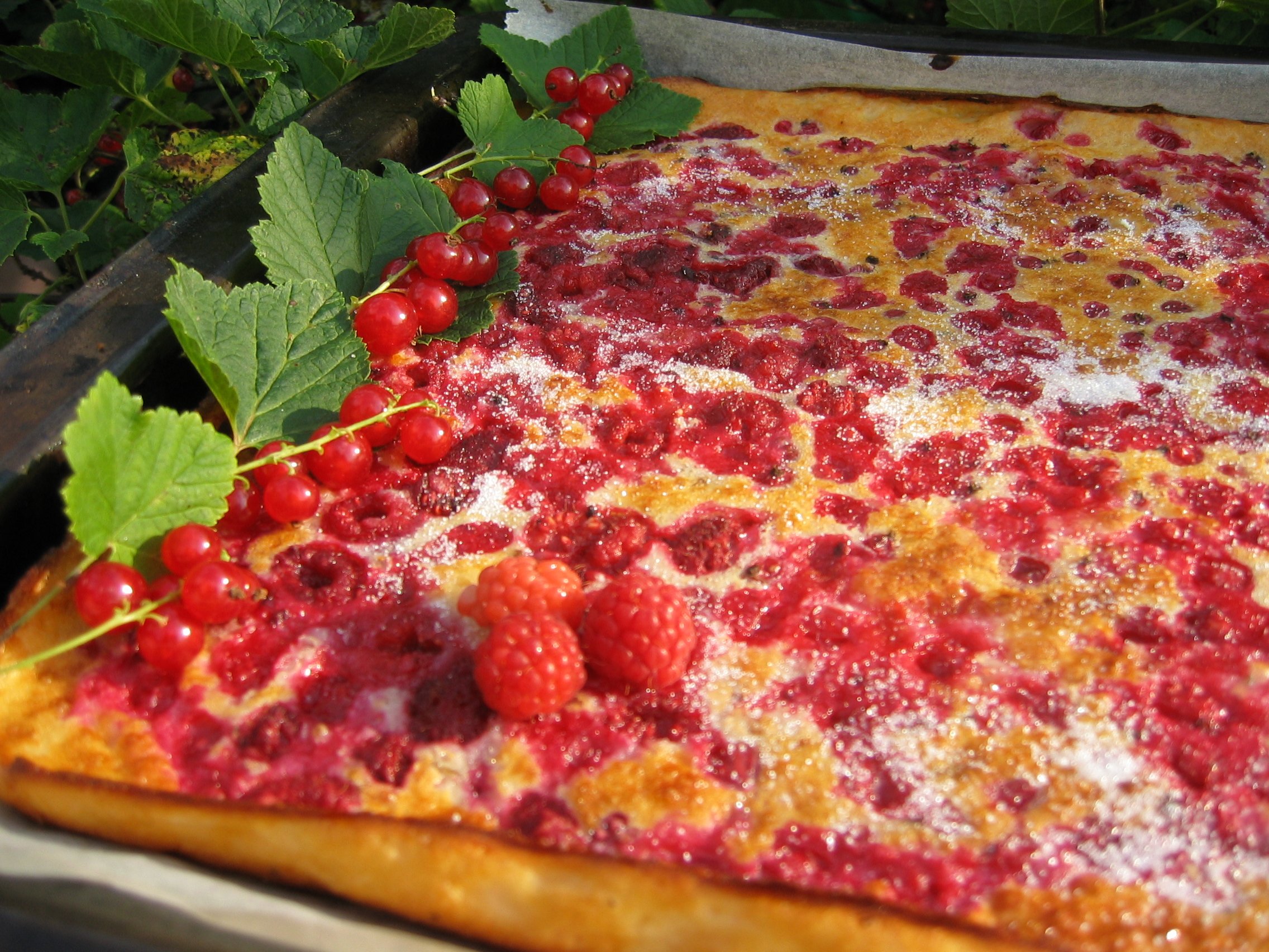 Vadelma-herukkapannari