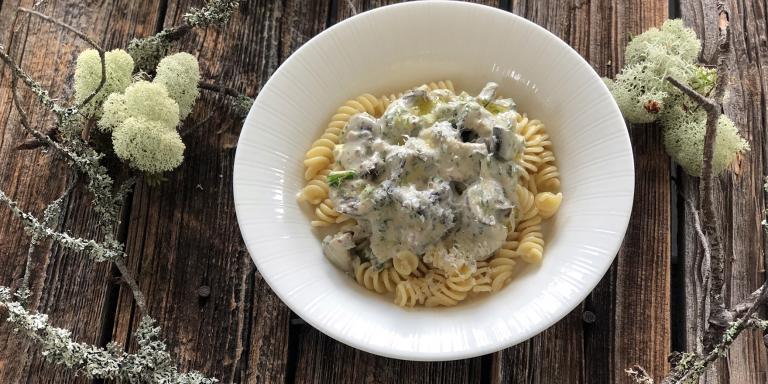 Sienipasta