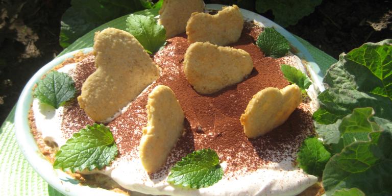 Tiramisu raparperista