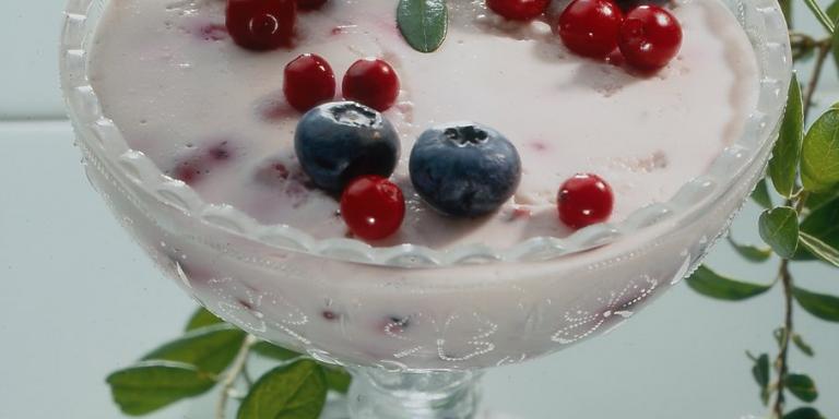 Jogurtti-ruishyytelö