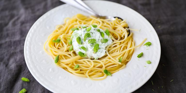 Pastaa ja kuusenkerkkätsatsikia