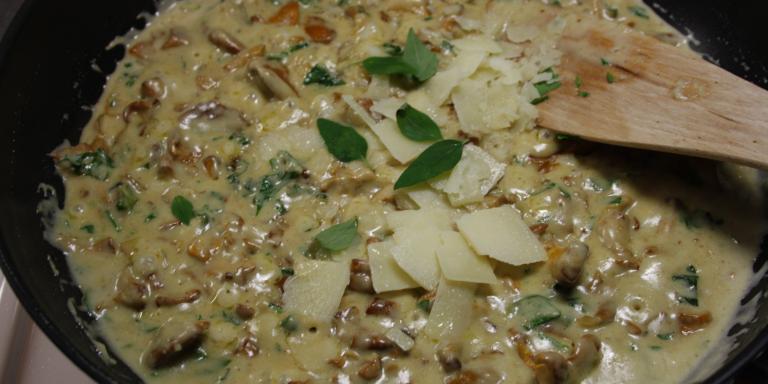 Rapuleiville sienimuhennos