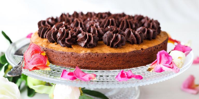 Suklainen Jenkkikakku