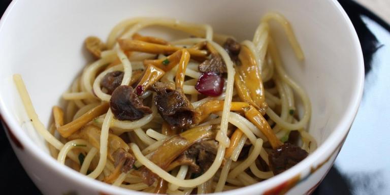 Vappu Pimiän sienipasta