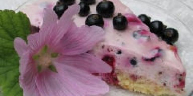 mustaherukka-hyydyketorttu