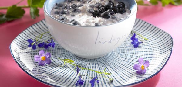 Vekkuli Mustikka Tuorepuuro