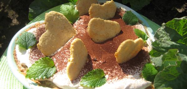 Tiramisu raparperista