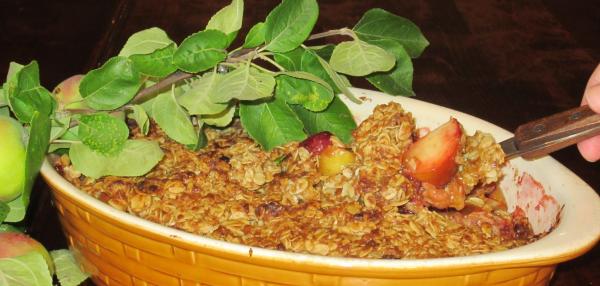 Omena-rommirusinakaurapaistos