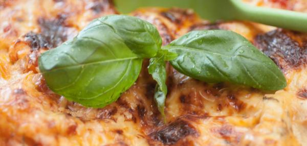 Tuorepasta Lohilasagne