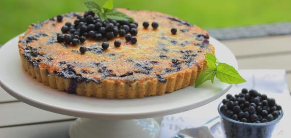 Mustikkapiirakka sitruunatahnalla ja kookoksella