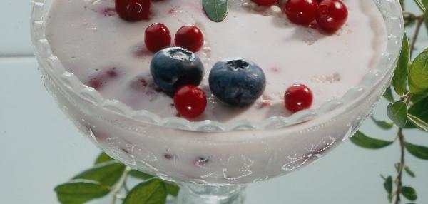 Jogurtti-ruishyytelö