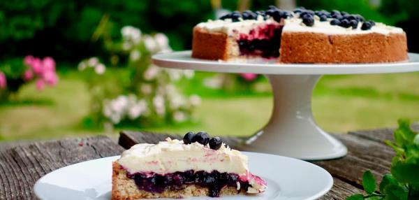 Suomi 100 mustikka-valkosuklaapiirakka