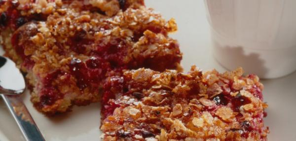 Puolukka-kookosneliöt