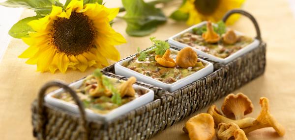 Sienilasagne tuorepastasta