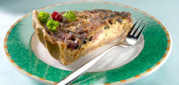 Suppilovahvero-riistapiiras