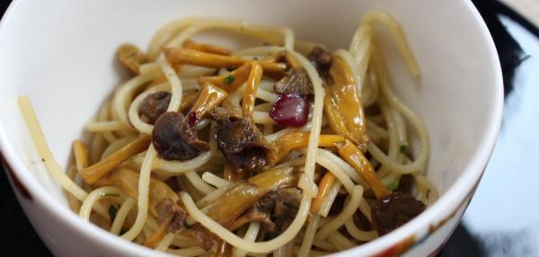 Vappu Pimiän sienipasta