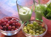 Karviais-siankärsämö Smoothie