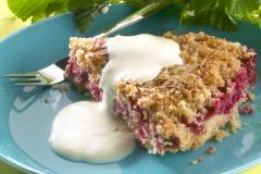 Kaurainen Kookos-karpalopiirakka