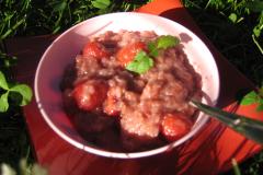 Vekkuli Mansikkapuuro