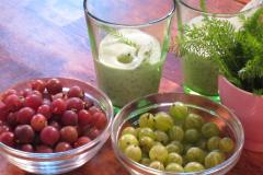 Karviais-siankärsämö Smoothie