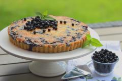 Mustikkapiirakka sitruunatahnalla ja kookoksella