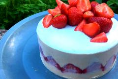 Raparperi-mansikka-fraisier